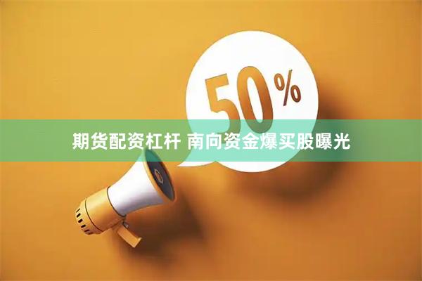 期货配资杠杆 南向资金爆买股曝光